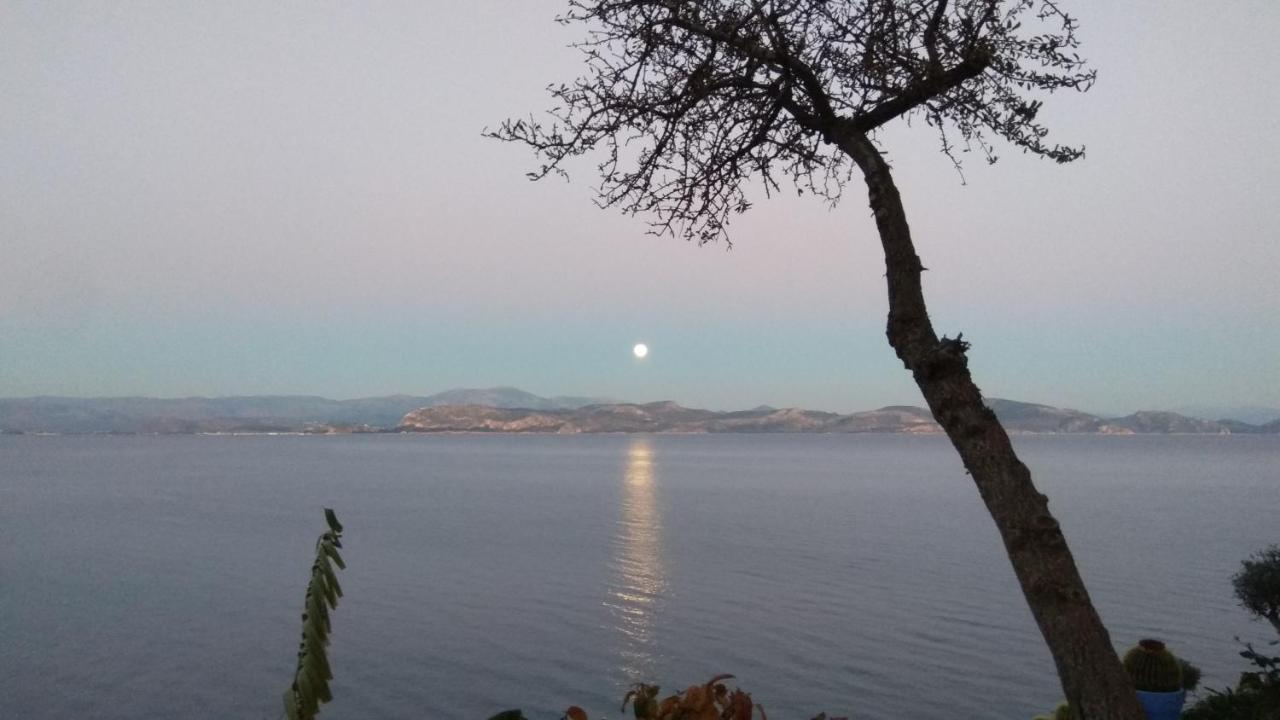 Linamare Eolos Kivérion 外观 照片