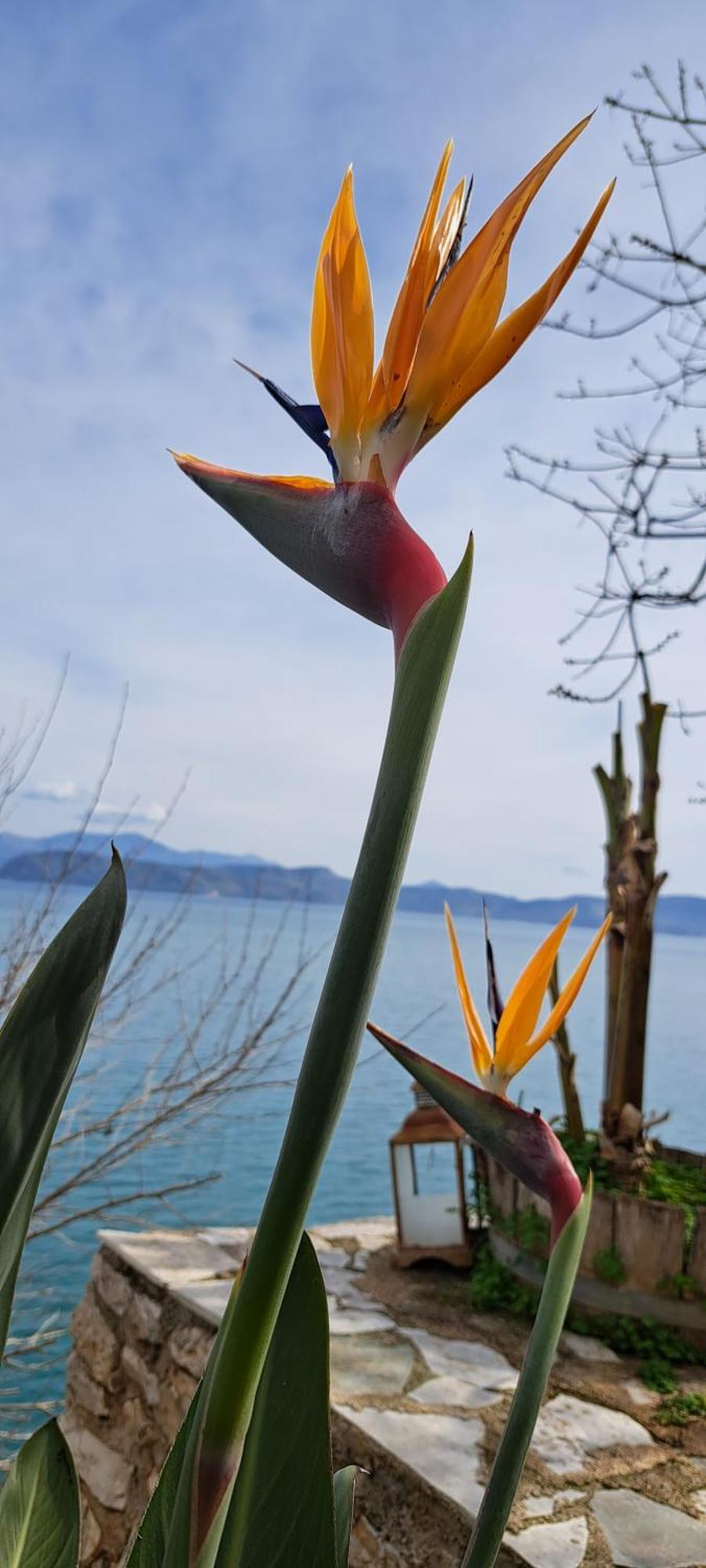 Linamare Eolos Kivérion 外观 照片