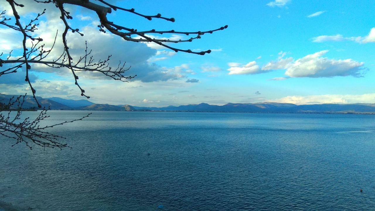 Linamare Eolos Kivérion 外观 照片